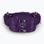 Pánská ledvinka Osprey Tempest 6 l violac purple 