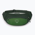 Ledvinka Osprey Daylite Waist 2 l green bely/green canopy