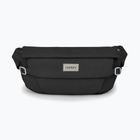 Ledvinka Osprey Arcane Hip 2l black