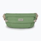 Ledvinka Osprey Arcane Hip 2 l botanica