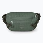 Ledvinka Osprey Transporter Waist Pack 3 l pine leaf