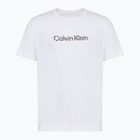 Pánské tričko Calvin Klein LVGMS5K183 Graphic classic white