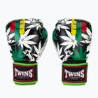 Boxerské rukavice Twins Special Fancy FBGVL3-54 Grass green/black