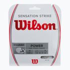 Struny pro squashové rakety Wilson Sq Sensation Strike 17 WRR943200+
