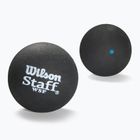 Squashové míčky  Wilson Staff Ball Blue Dot 12 ks black