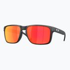 Sluneční brýle Oakley Holbrook XXL matte black camo/prizm ruby