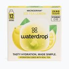 Microdrink Ice Tea 12 kostek citron