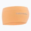 Čelenka icebreaker Merino 200 Oasis Headband feldspar