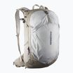 Turistický batoh   Salomon Trailblazer 30 l khaki/glacier gray