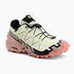 Dámské běžecké boty Salomon Speedcross 6 GTX lime cream/mahogany rose/black