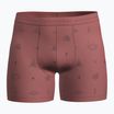 Termo boxerky icebreaker Merino150 Anatomica Boxers Explore More plume/aop