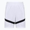 Pánské basketbalové šortky Nike Icon Dri-Fit 8" white/white/black/black