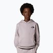 Dětská mikina The North Face Teen Simple Dome Hoodie moonstone grey