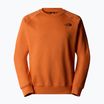 Pánská mikina  The North Face Raglan Box Nse Crew iron bronze/tnf black