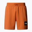 Pánské trekové šortky The North Face Box Nse Regular iron bronze/tnf bronze