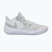 Boty Nike Zoom Hyperspeed Court SE smmit white/metalic silver/pure platinum