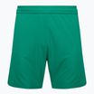 Dětské fotbalové šortky Capelli Sport Cs One Adult Match green/white