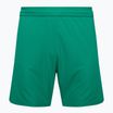 Pánské fotbalové šortky Capelli Sport Cs One Adult Match green/white