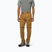 Pánské trekové kalhoty Salewa Puez Hemp/Dst 2/1 golden brown