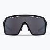 Sluneční brýle Endura Singletrack black/platinum revo smoke/clear silver flash mirror