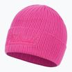 Pánská zimní čepice Pitbull Beanie Silvas Angel pink