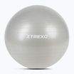 Gymnastický míč TREXO TXO-B4Z009-GY 75 cm grey 