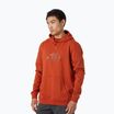 Pánská trekingová mikina Helly Hansen Nord Graphic Pull Over Hoodie červená 62975_308