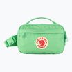 Ledvinka Fjällräven Kanken 663 apple mint