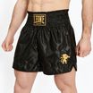 Pánské boxerské šortky  LEONE 1947 Basic 2 black