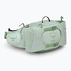 Ledvinka Osprey Tempest 6 l frosty mint / green botanica