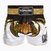 Tréninkové šortky Top King Kickboxing multicolor