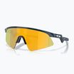 Sluneční brýle dziecięce Oakley Resistor Sweep polished abyss/prizm 24k