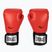 Červené boxerské rukavice Everlast Pro Style 2 EV2120 RED