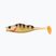 Gumová nástraha Berkley Pulse Realistic Roach Golden Perch 1543307