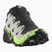 Pánské běžecké boty Salomon Speedcross 6 GTX black/alloy/green gecko