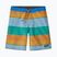 Pánské plavecké šortky  Patagonia Wavefarer Boardshorts fitz stripe/pufferfish gold