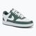 Dámské boty Nike Court Vision Low Next Nature vintage green/white