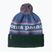 Zimní čepice Patagonia Powder Town park stripe: barnacle blue