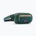 Belt bag Patagonia Terravia Mini Hip cascade green