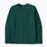 Pánské tričko Longsleeve Patagonia P-6 Logo Responsibili cascade green
