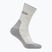 Dámské ponožky Icebreaker Merino Hike+ Light Crew blizzard heather/alloy
