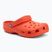 Nazouváky Crocs Classic starfish