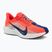 Dámské běžecké boty Nike Pegasus Plus bright crimson / deep royal blue / silt red