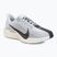 Pánské běžecké boty Nike Pegasus Plus pure platinum/wolf grey/sail/anthracite