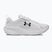 Pánské běžecké boty Under Armour Assert 11 white/black/distant gray