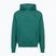 Pánská mikina Under Armour Rival LW Hoodie rack green/black