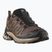 Pánské běžecké boty Salomon XA Pro 3D V9 falcon/desert tan/black