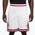 Pánské basketbalové šortky  Jordan Sport Dri-FIT 9" Diamond white/gym red/white
