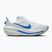 Pánská běžecká obuv Nike Winflo 12 white/off white/lapis/blue crystal