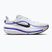 Pánské běžecké boty Nike Winflo 12 off white/white/wolf grey/black